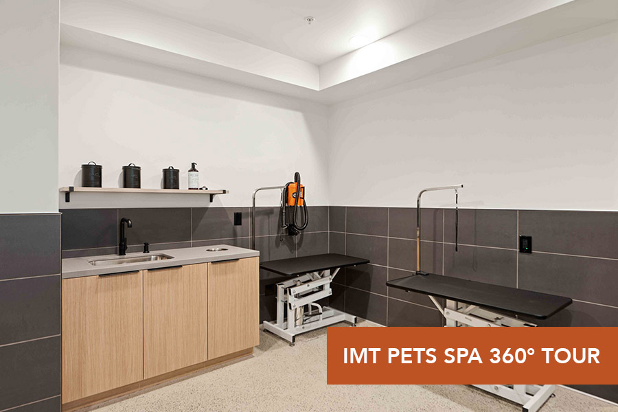 IMT Gallery 421-IMT Pet Spa
