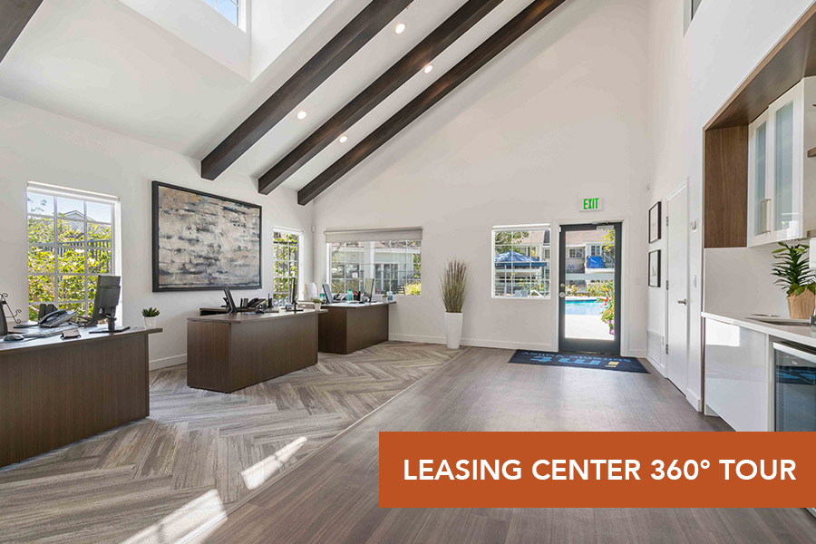 IMT Sorrento Valley-Leasing